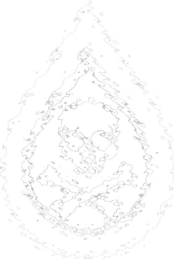 Delaware Water Disaster